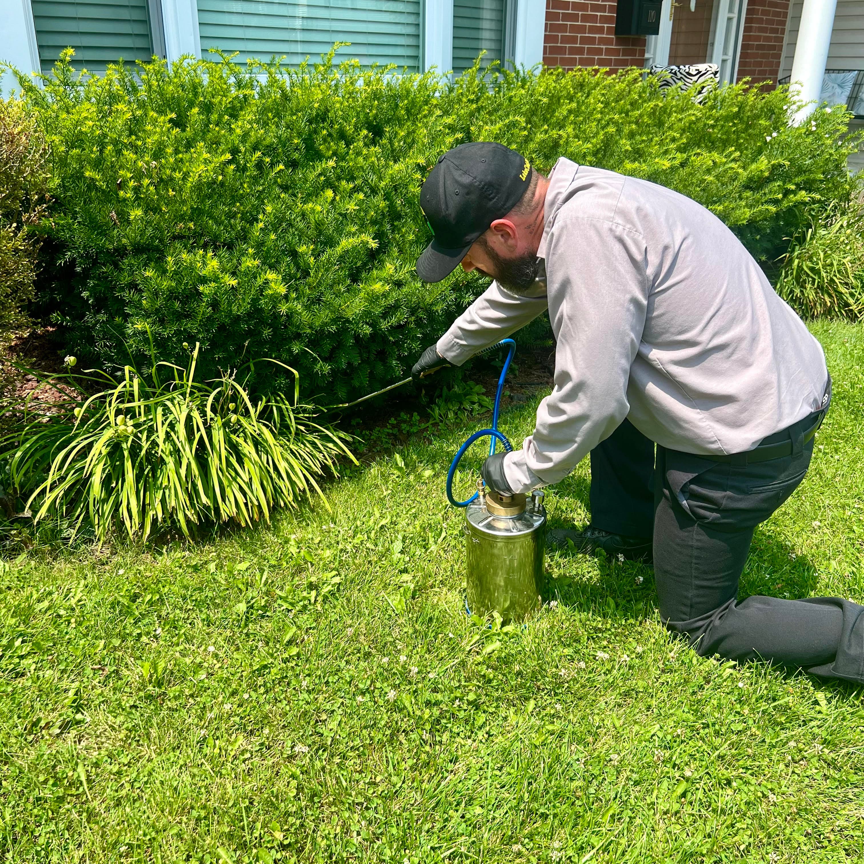 Technician applying an exterior perimeter treatment along a garden bed