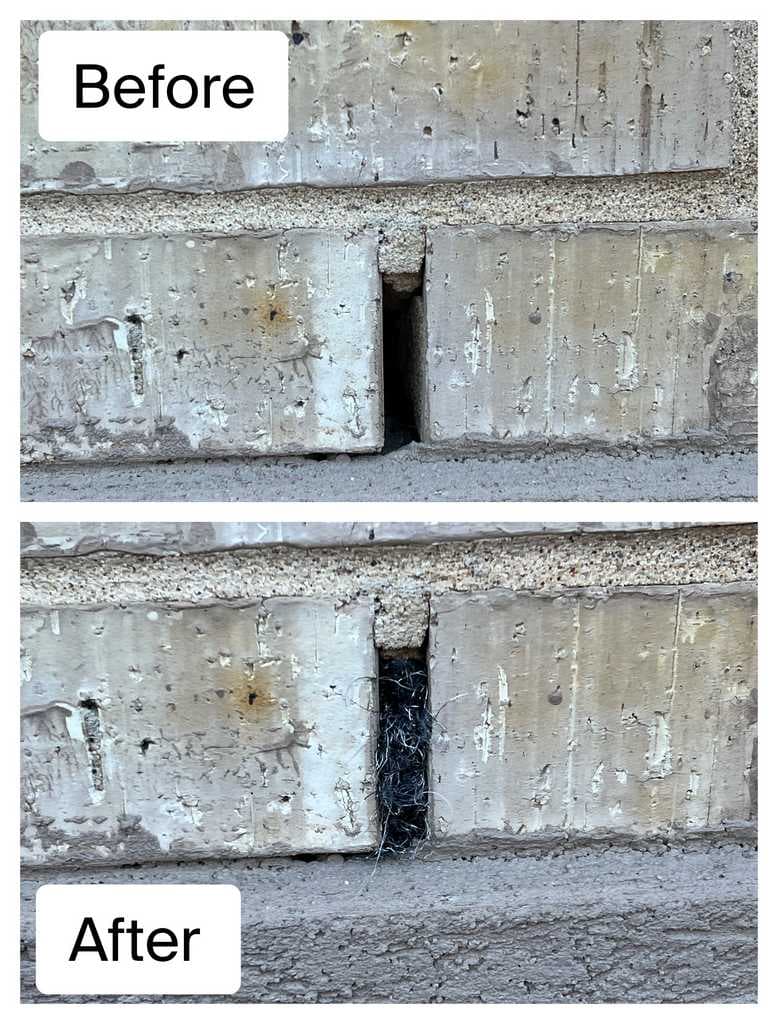 Before and after: foundation gap sealed with rodent-proof material