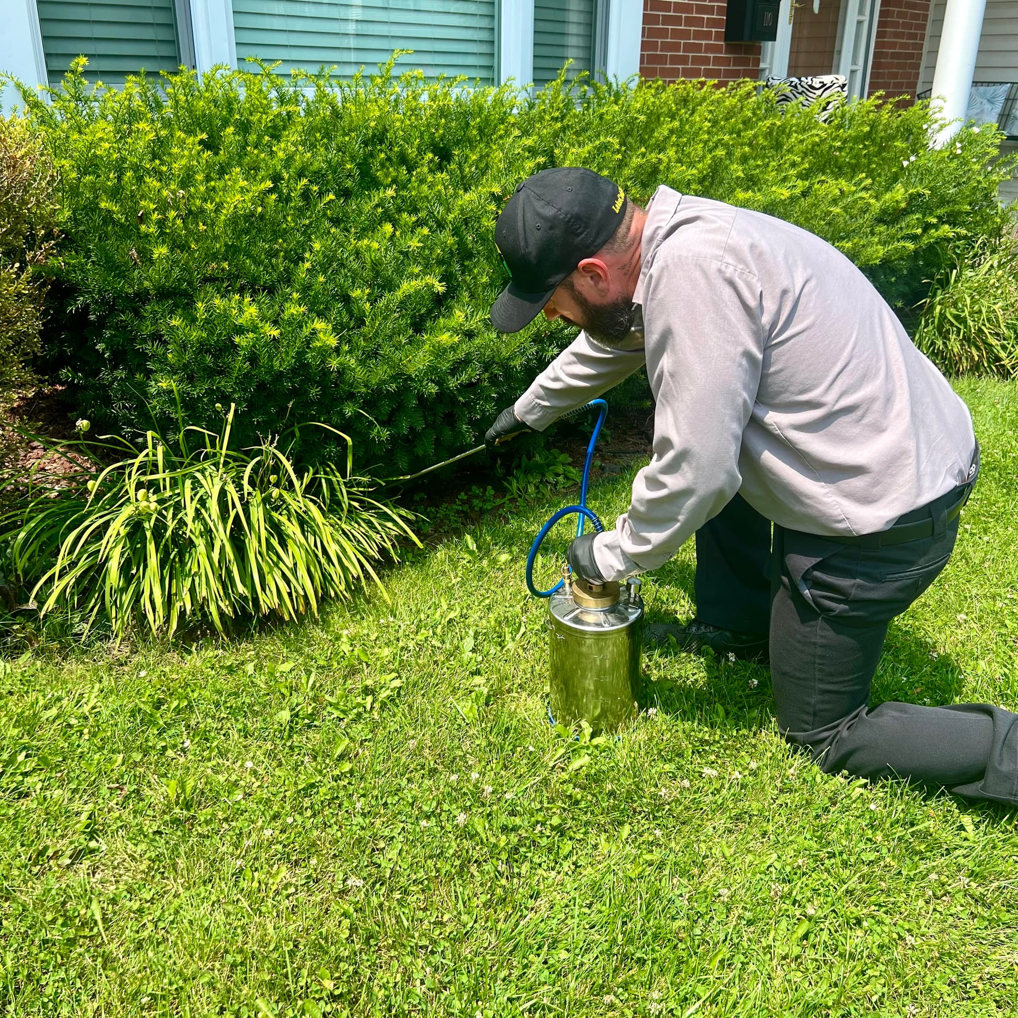 Exterior flea treatment around a home