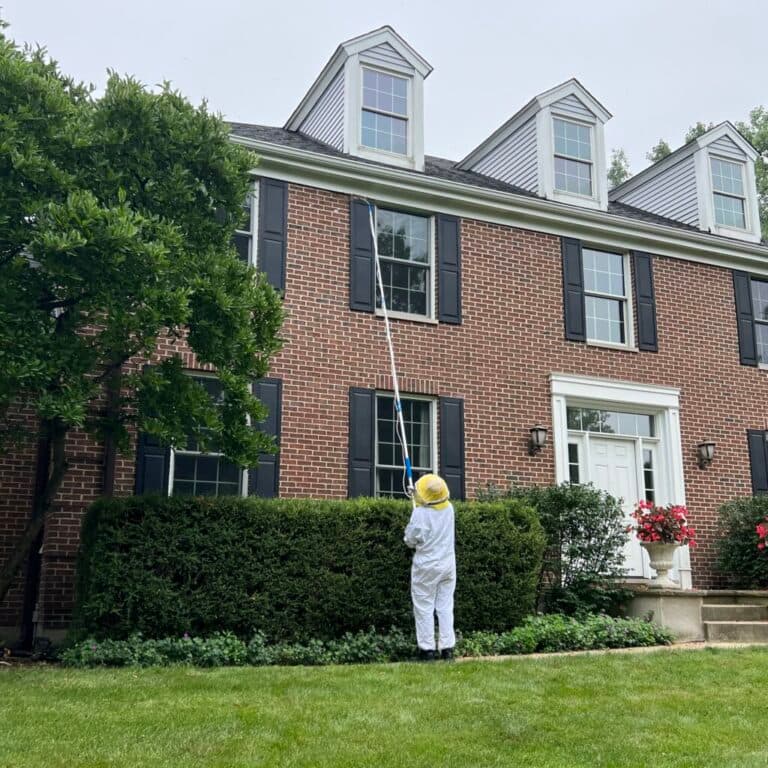 Pest control in Winnetka, IL
